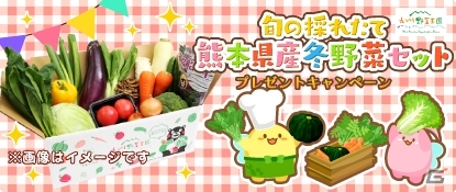 「ハッピーベジフル」熊本県産冬野菜セット＆ガチャチケット50枚が当たるプレゼントキャンペーンがスタートの画像1