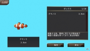 iOS/Android「イルーナ戦記オンライン」島で遊べる「釣り」機能が追加！魚やアイテム、新種のペットを釣って島ライフを楽しもうの画像10