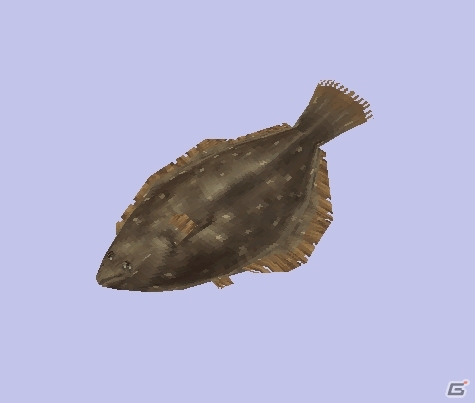 iOS/Android「イルーナ戦記オンライン」島で遊べる「釣り」機能が追加！魚やアイテム、新種のペットを釣って島ライフを楽しもうの画像14