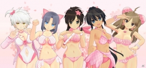 「閃乱カグラ ESTIVAL VERSUS -少女たちの選択- PlayStation Vita the Best」が本日発売！DLCセットのセールも実施の画像4