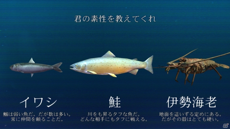 魚やカニが光線を放って戦うアクションシューティング「ACE OF SEAFOOD」Wii U版が11月30日に配信決定！の画像8