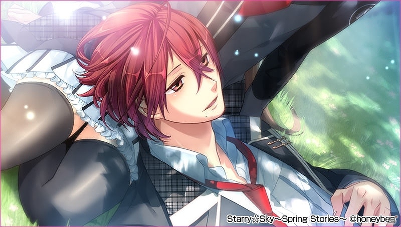 PS Vita「Starry☆sky～spring stories～」が発売中―緑川光さん演じる土萌羊が歌うOPムービーも公開の画像3