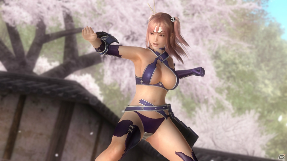 doa5 コスチューム セール 画像