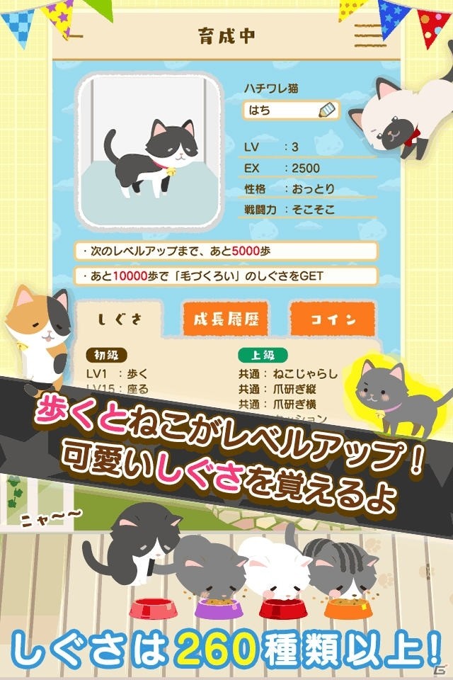 歩くだけでネコが育つ「にゃん歩計」がiOS/Androidに配信決定！事前登録受付が開始の画像3