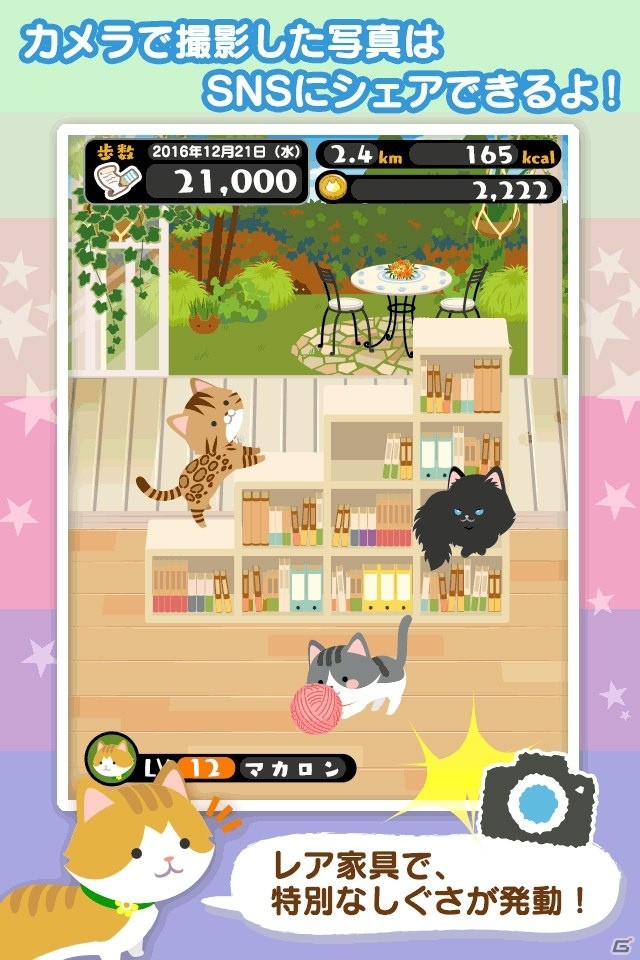 歩くだけでネコが育つ「にゃん歩計」がiOS/Androidに配信決定！事前登録受付が開始の画像6