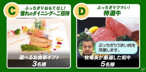 iOS/Android「ダービーインパクト」累計900万ダウンロード！ドバイ旅行やクルージングなどが当たる「ぶっちぎり。キャンペーン」が開始の画像4