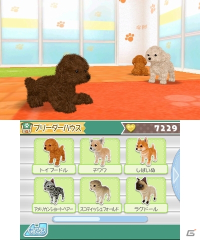 飼ってみたい、触れてみたいペットたちを独り占め！3DS「かわいいペットとくらそう！　わんニャン＆ミニミニアニマル」が4月6日に発売決定の画像11