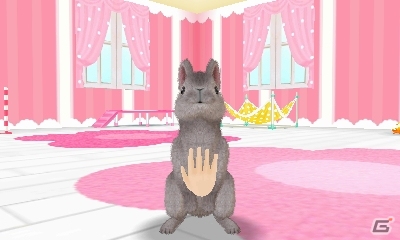 飼ってみたい、触れてみたいペットたちを独り占め！3DS「かわいいペットとくらそう！　わんニャン＆ミニミニアニマル」が4月6日に発売決定の画像13