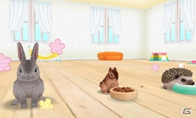 飼ってみたい、触れてみたいペットたちを独り占め！3DS「かわいいペットとくらそう！　わんニャン＆ミニミニアニマル」が4月6日に発売決定の画像14