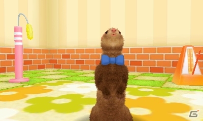 飼ってみたい、触れてみたいペットたちを独り占め！3DS「かわいいペットとくらそう！　わんニャン＆ミニミニアニマル」が4月6日に発売決定の画像17