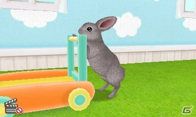 飼ってみたい、触れてみたいペットたちを独り占め！3DS「かわいいペットとくらそう！　わんニャン＆ミニミニアニマル」が4月6日に発売決定の画像19