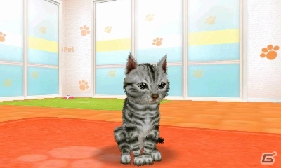 飼ってみたい、触れてみたいペットたちを独り占め！3DS「かわいいペットとくらそう！　わんニャン＆ミニミニアニマル」が4月6日に発売決定の画像3