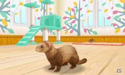 飼ってみたい、触れてみたいペットたちを独り占め！3DS「かわいいペットとくらそう！　わんニャン＆ミニミニアニマル」が4月6日に発売決定の画像5