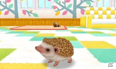 飼ってみたい、触れてみたいペットたちを独り占め！3DS「かわいいペットとくらそう！　わんニャン＆ミニミニアニマル」が4月6日に発売決定の画像7