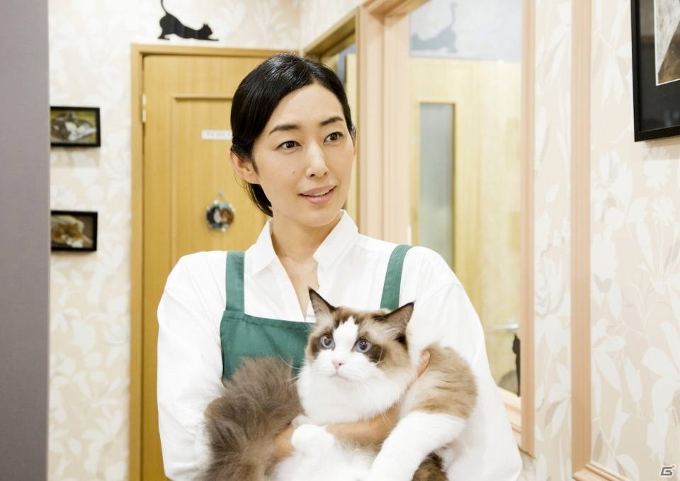 思わず猫を集めたくなる？映画「ねこあつめの家」予告編が公開にの画像3
