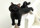 ふちねこ、何匹集めましたか？―編集部通信（2017年2月25日号）