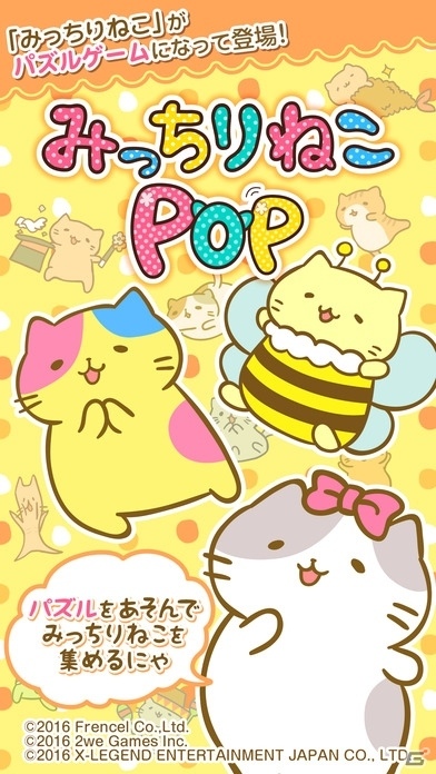 iOS/Android「みっちりねこPOP」のサービスが5月29日に終了の画像1