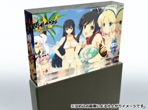 「閃乱カグラ2 -真紅-」「閃乱カグラ ESTIVAL VERSUS -少女達の選択-」のグッズがCROSSクラウドファンディングにて申込受付中！の画像8