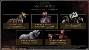 今再び、レッドマウンテンの膝下へ―「エルダー・スクロールズ・オンライン」大型アップデートパッケージ「モロウウィンド」先行プレイレポートの画像26