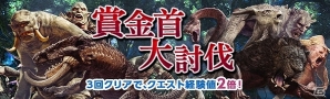 「ドラゴンズドグマ オンライン」×「モンスターハンター」コラボ第2弾が開始！ゴールデンウィーク企画もスタートの画像6
