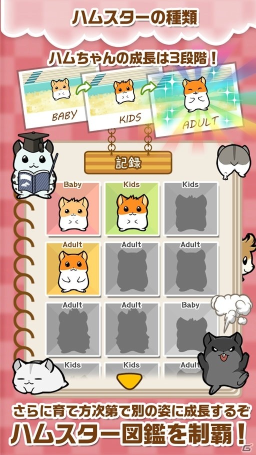 育てて、遊んで、癒される「ハムスターストーリー」がiOS/Android向けに配信開始！の画像5