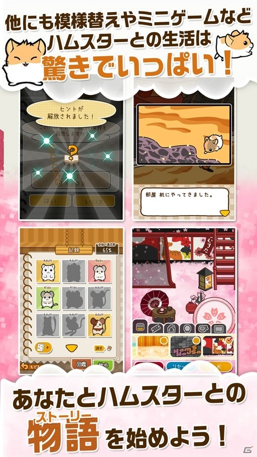 育てて、遊んで、癒される「ハムスターストーリー」がiOS/Android向けに配信開始！の画像6