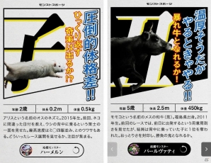 「モンスターストライク」リアル版 超・獣神祭「十二支再競争」が開催！蝶野正洋さんが猫と戯れるCMも放映決定の画像5