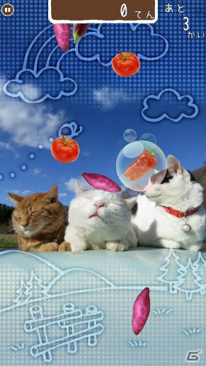 累計40万部の大ヒット写真集「のせ猫」の公式アプリ「のせて のせ猫」がリリースの画像5