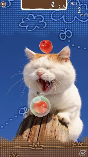累計40万部の大ヒット写真集「のせ猫」の公式アプリ「のせて のせ猫」がリリースの画像6