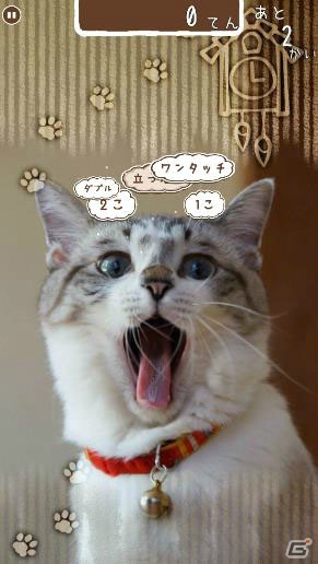 累計40万部の大ヒット写真集「のせ猫」の公式アプリ「のせて のせ猫」がリリースの画像7