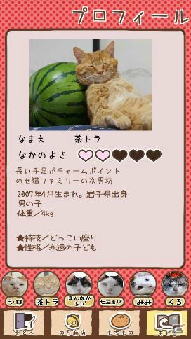 累計40万部の大ヒット写真集「のせ猫」の公式アプリ「のせて のせ猫」がリリースの画像9
