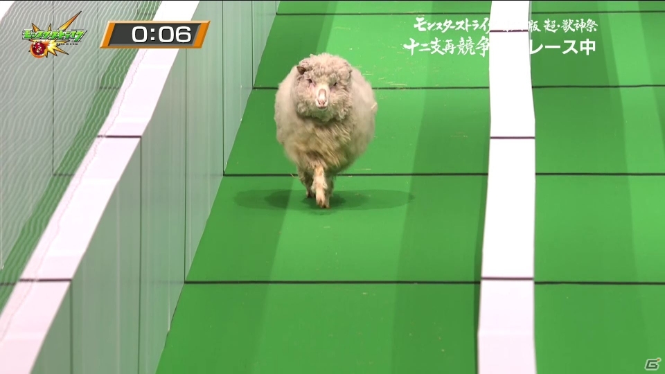 猫がついに十二支入り！？「モンスターストライク」リアル動物レース「超・獣神祭 十二支再競争」が実施の画像10