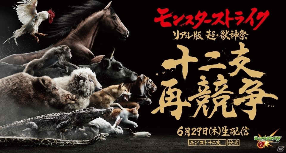 猫がついに十二支入り！？「モンスターストライク」リアル動物レース「超・獣神祭 十二支再競争」が実施の画像2