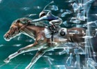 競馬メダルゲーム「StarHorse3 SeasonVI FULL THROTTLE」が本日稼働開始!氷上のレース「WBC ICE」など新要素をチェック