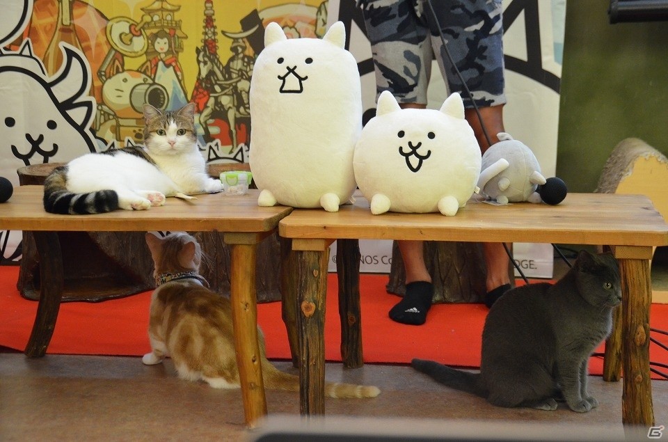 あの“キモかわ”をブラウザで楽しもう！「みんなで にゃんこ大戦争」制作発表会をレポート―かわいいネコのフォトレポートも掲載の画像37