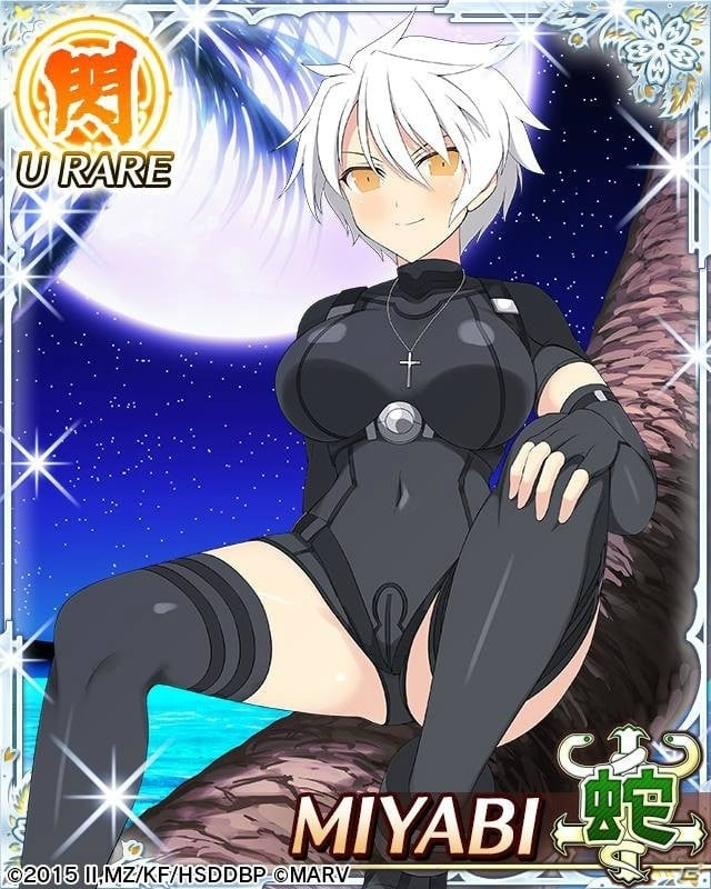 「閃乱カグラ NewWave Gバースト」パイ（8月1日）の日を記念してコラボイベント「マーベラス夏のパイの日祭り」が開催！の画像6