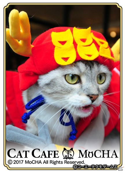 猫ちゃん達の写真を使用した、初の実写カードが登場！猫カフェ「MoCHA」×「のぶニャがの野望」コラボがスタートの画像2