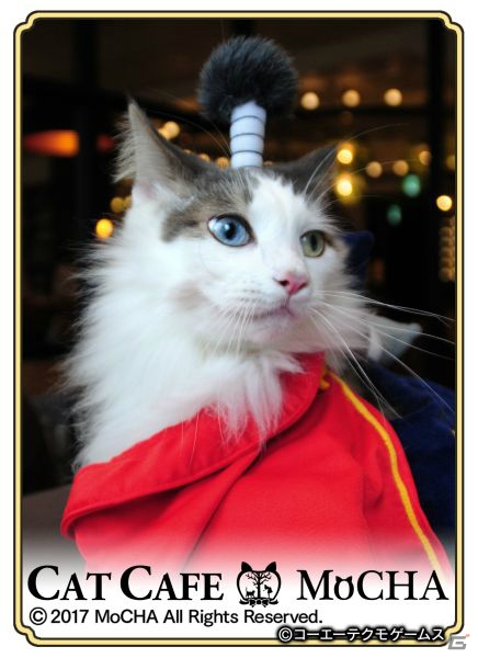 猫ちゃん達の写真を使用した、初の実写カードが登場！猫カフェ「MoCHA」×「のぶニャがの野望」コラボがスタートの画像3