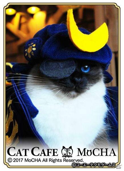 猫ちゃん達の写真を使用した、初の実写カードが登場！猫カフェ「MoCHA」×「のぶニャがの野望」コラボがスタートの画像4
