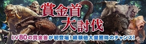 「ドラゴンズドグマ オンライン」最優秀作品は500黄金石＆ゲーム内での実装が決定！「マンドラゴラ デザインコンテスト」が開催の画像5