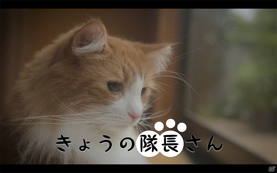 「スクールガールストライカーズ」隊長さんはネコ！ナレーションに花澤香菜さんと伊瀬茉莉也が登場するWEB動画「きょうの隊長さん」が公開の画像1