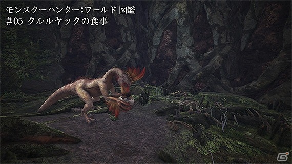 短時間で「モンスターハンター：ワールド」の生態を覗く紹介動画「モンスターハンター：ワールド図鑑」6本が公式サイトにて公開！の画像6
