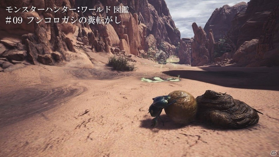 「モンスターハンター：ワールド」フィールドに息づく環境生物の生態にも注目の紹介動画「モンスターハンター：ワールド図鑑」第二弾が公開の画像3