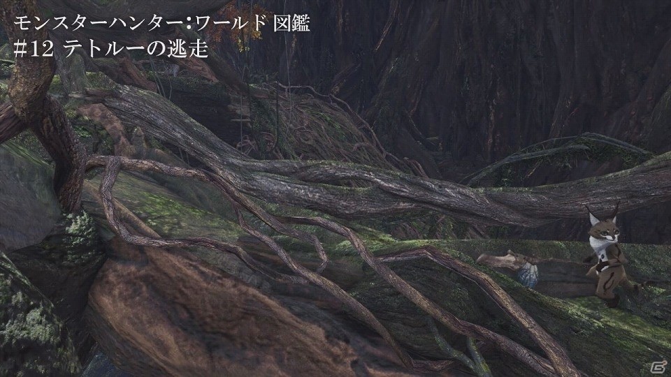 「モンスターハンター：ワールド」フィールドに息づく環境生物の生態にも注目の紹介動画「モンスターハンター：ワールド図鑑」第二弾が公開の画像5