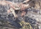 「モンスターハンター：ワールド」フィールドに息づく環境生物の生態にも注目の紹介動画「モンスターハンター：ワールド図鑑」第二弾が公開