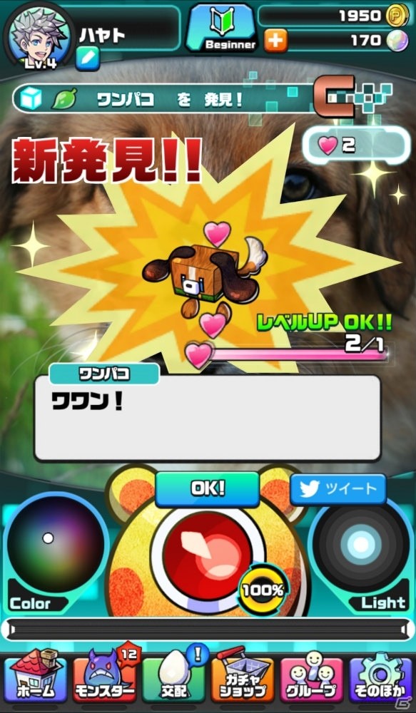iOS/Android「パシャ★モン」AIカメラによる“パシャ”や育成・バトルなどのゲームシステムが公開！の画像1
