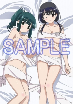 「咲-Saki-全国編Plus」ビジュアルファンブック中巻が2018年1月12日に発売！特典には“福路 美穂子のメイド水着追加衣装ダウンロードコードが付属の画像3