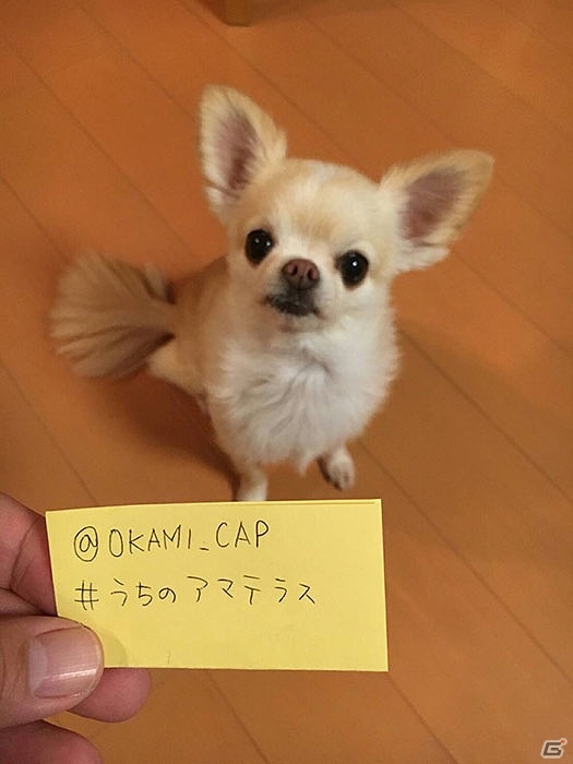 「大神 絶景版」筆しらべ・妖怪紹介の最終回が公開！自慢のペット写真が“アマテラス”に変身するTwitter企画も始動の画像21
