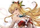 「グランブルーファンタジー」カタリナ、ヴィーラのスキンが手に入るトゥインクルナイトスキンセットが本日より販売開始