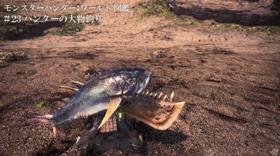 「モンスターハンター：ワールド」Web紹介動画第4弾が公開！「ハンターの大物釣り」ほかモンスターたちの生態もチェック！の画像1